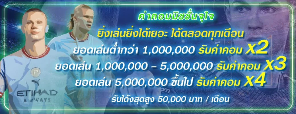 โปรโมชั่น ค่าคอมมิชชั่น