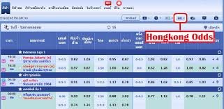 ประเภทของราคาน้ำ ฮ่องกง มาเลย์ ยุโรป SBOTOP